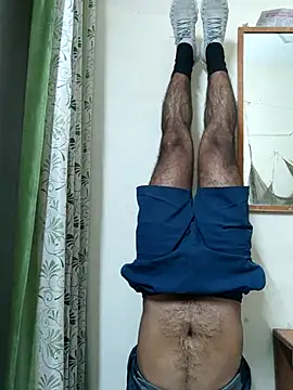 Wild-Honey online show from March 1, 3:53 am