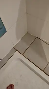 Snapshot of Ariete80s chatting on February 21, 3:32 pm Ariete80s online show from February 21, 3:32 pm