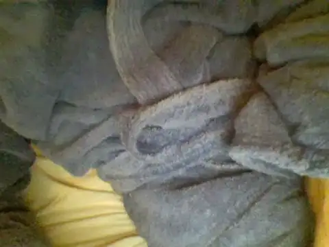 Snapshot of Ariete80s chatting on February 23, 6:56 pm Ariete80s online show from February 23, 6:56 pm