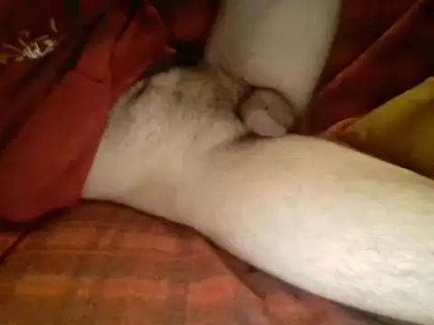 Snapshot of Ariete80s chatting on March 10, 6:16 am Ariete80s online show from March 10, 6:16 am