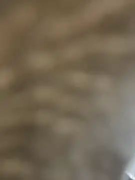 Snapshot of BhadBhad_Kitty chatting on February 14, 6:45 am BhadBhad Kitty online show from February 14, 6:45 am