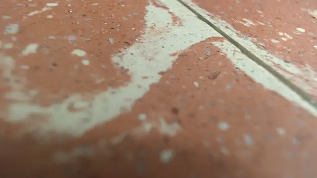 Snapshot of isabella_jazz chatting on September 20, 3:24 pm isabella jazz online show from September 20, 3:24 pm