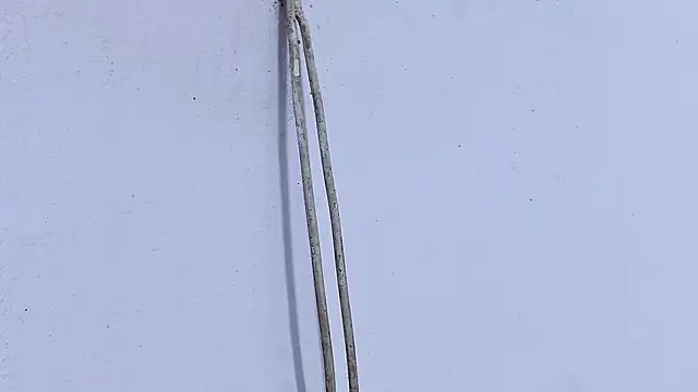 Habibi big b online show from April 19, 5:23 pm