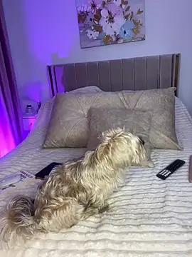 GraceCarther online show from April 8, 8:53 pm