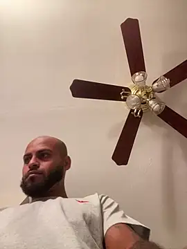 islandvybee55 online show from March 2, 6:14 am