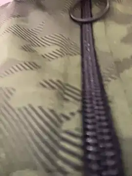 Snapshot of adahara19 chatting on December 17, 1:29 am adahara19 online show from December 17, 1:29 am