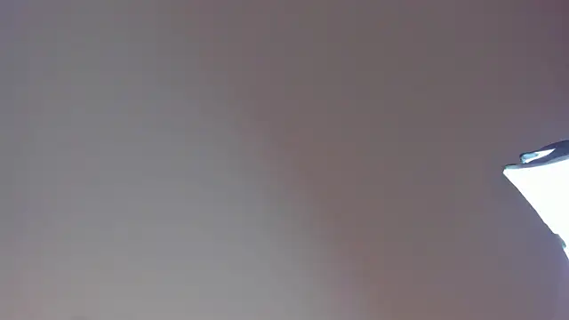 Snapshot of Laurent_Williams chatting on December 28, 10:02 pm Laurent Williams online show from December 28, 10:02 pm