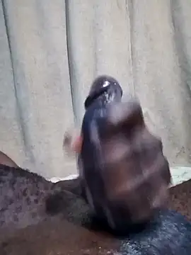 Snapshot of Dick_undisputed chatting on January 17, 8:13 am Dick undisputed online show from January 17, 8:13 am