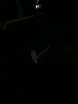 FROL83 online show from April 10, 8:35 pm