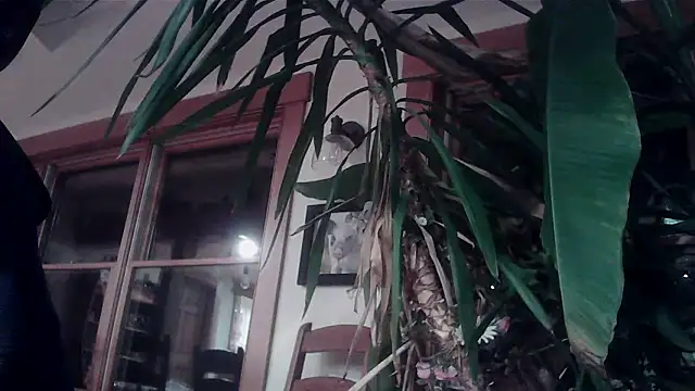 KittingGrappler online show from November 15, 10:48 pm