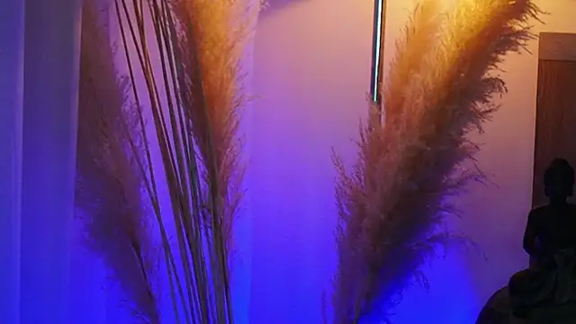 AliceShazaham  online show from September 12, 7:08 am