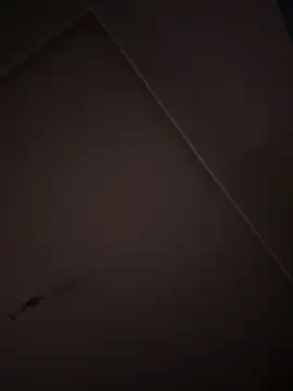 eddy355 online show from October 26, 9:31 pm