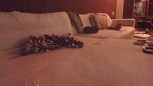 Snapshot of Nina24 chatting on October 16, 6:42 pm Nina24 online show from October 16, 6:42 pm