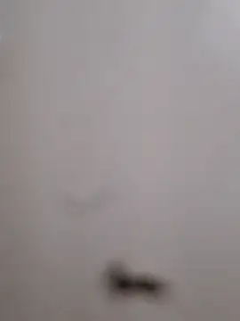 Snapshot of BriannaVincent chatting on September 13, 4:01 am BriannaVincent online show from September 13, 4:01 am