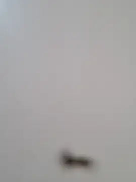 Snapshot of BriannaVincent chatting on October 29, 4:26 am BriannaVincent online show from October 29, 4:26 am