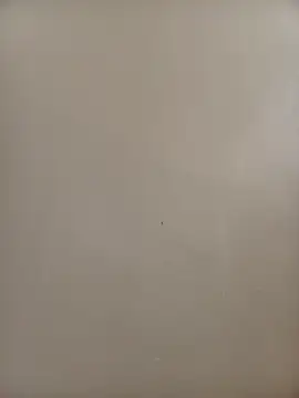 Snapshot of BriannaVincent chatting on November 9, 4:22 am BriannaVincent online show from November 9, 4:22 am