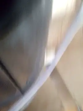 latinmartin73 online show from September 9, 11:37 pm