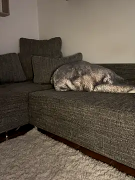 Snapshot of godspot_ chatting on October 30, 8:20 pm godspot online show from October 30, 8:20 pm