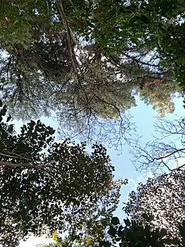 Snapshot of _PhillipBrown chatting on September 10, 11:32 am PhillipBrown online show from September 10, 11:32 am