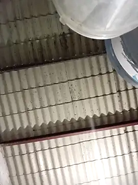 strip 1212 online show from March 8, 2:04 am