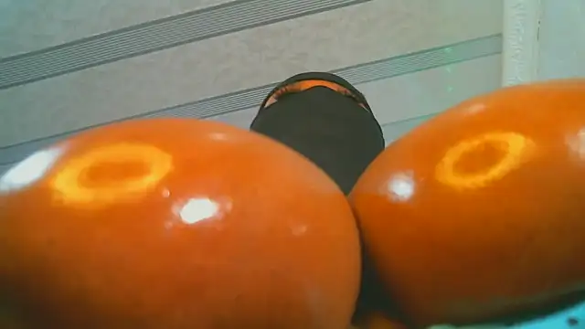 XPanther 24 online show from February 2, 12:46 pm