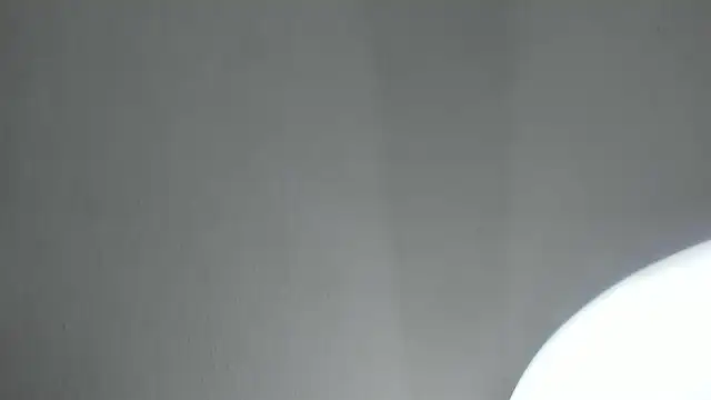 PandoraRider online show from April 16, 1:34 pm