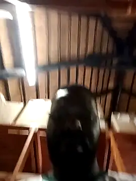 Touch mysoul online show from October 26, 8:09 am