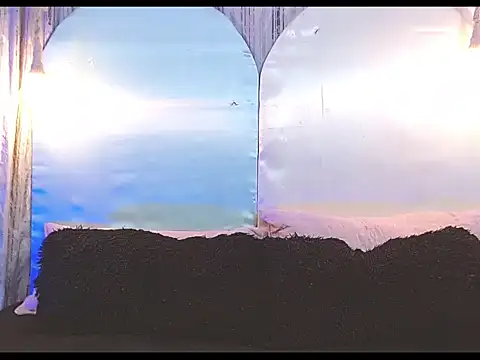 tylor boy online show from January 9, 6:05 am