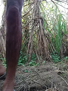 cjonybab online show from November 18, 10:20 am