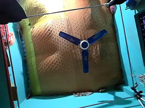 hotbaby 5 online show from December 14, 9:29 am