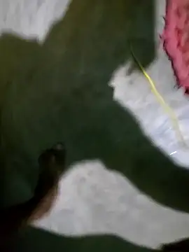 hotbaby 5 online show from January 5, 2:52 pm