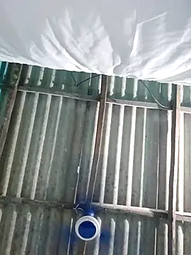 hotbaby 5 online show from October 27, 10:30 am