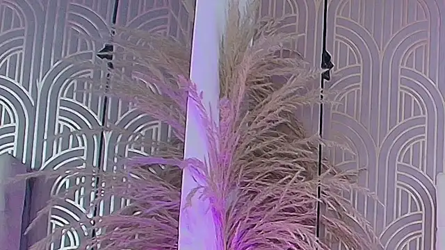 LeylaRangel online show from October 25, 3:47 am