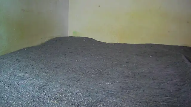 Snapshot of fern_tlk chatting on December 17, 8:21 pm fern tlk online show from December 17, 8:21 pm