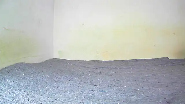 Snapshot of fern_tlk chatting on January 19, 7:58 pm fern tlk online show from January 19, 7:58 pm