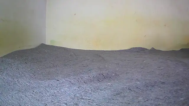 Snapshot of fern_tlk chatting on February 1, 5:28 am fern tlk online show from February 1, 5:28 am