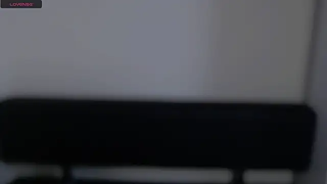 Snapshot of LaimaV_ chatting on December 1, 4:29 pm LaimaV online show from December 1, 4:29 pm