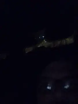 Watson4U online show from December 13, 6:27 pm