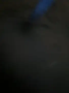 A-mira online show from February 10, 10:52 am