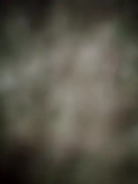 INDIANBOY7439 online show from March 5, 10:33 am