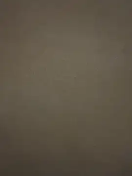 Snapshot of tuperrarica chatting on January 13, 4:50 am tuperrarica online show from January 13, 4:50 am