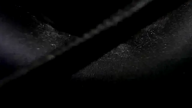 Snapshot of Niquitasparkles chatting on January 23, 10:33 pm Niquitasparkles online show from January 23, 10:33 pm