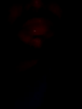 Snapshot of mohitsexy12 chatting on December 8, 5:33 pm mohitsexy12 online show from December 8, 5:33 pm