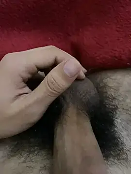 dzpoweralg online show from December 15, 12:09 pm