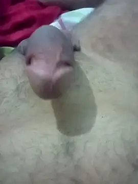 Gostozim7 online show from December 2, 12:30 am