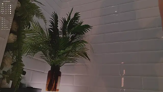 Snapshot of MichaellaMoon chatting on December 3, 2:15 pm MichaellaMoon online show from December 3, 2:15 pm