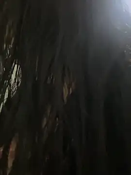 eva sexx69 online show from March 13, 12:12 pm