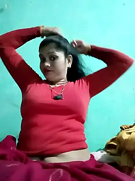 Chandni online show from February 4, 12:11 pm