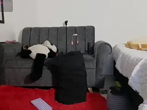 Katt BDSM online show from February 13, 3:14 pm