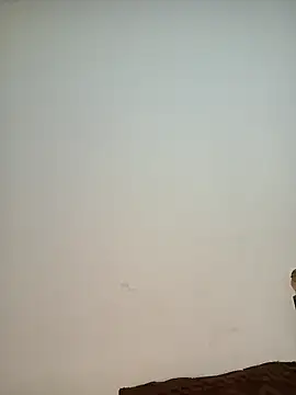 Snapshot of Sahar_sexy chatting on February 7, 5:29 pm Sahar sexy online show from February 7, 5:29 pm